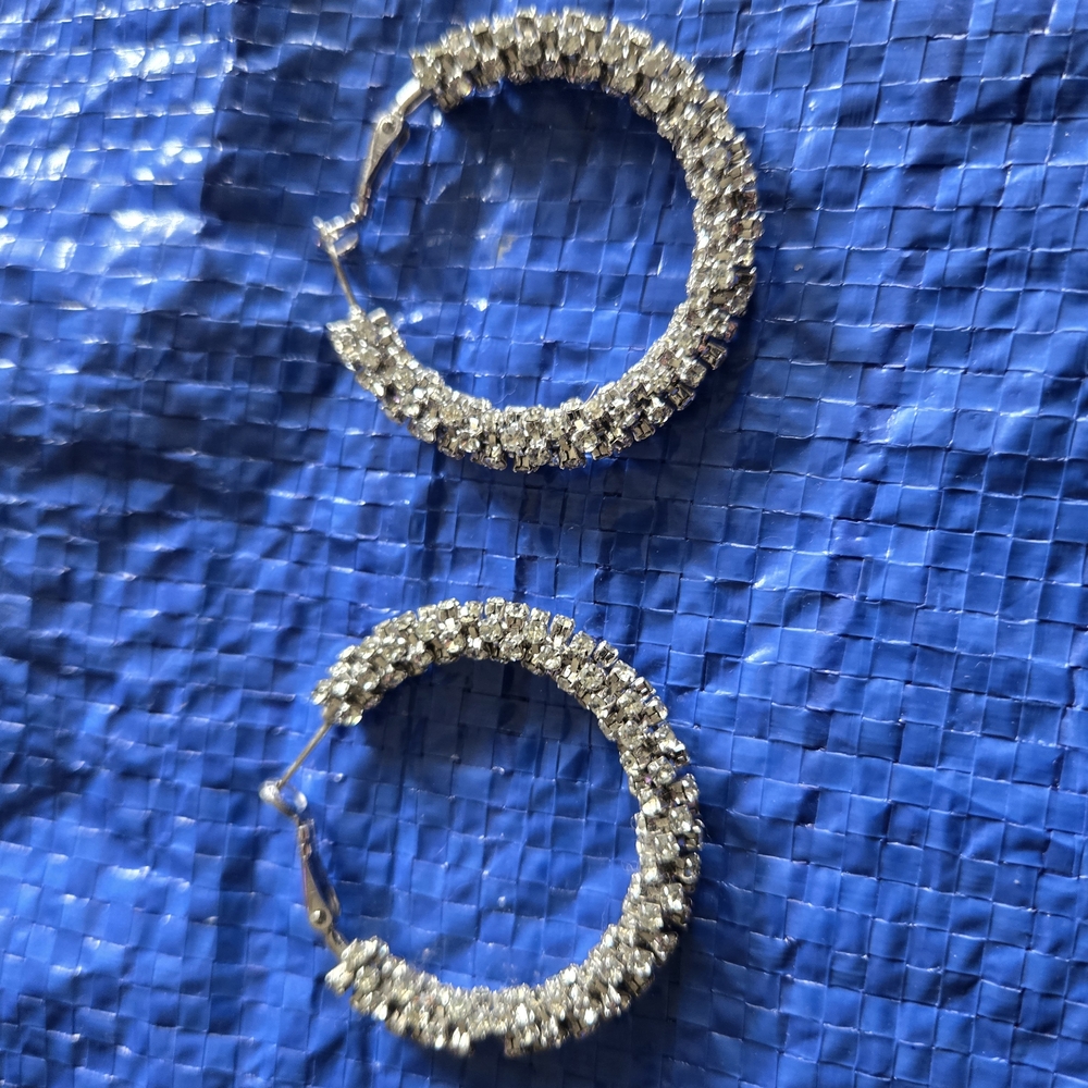 Elegant Silver Hoop Earrings